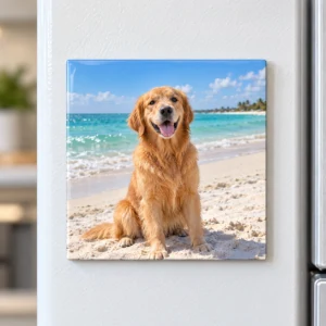 Custom Magnets